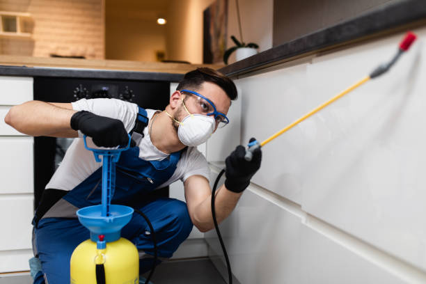 Trusted Hawley, MN Pest Control Experts
