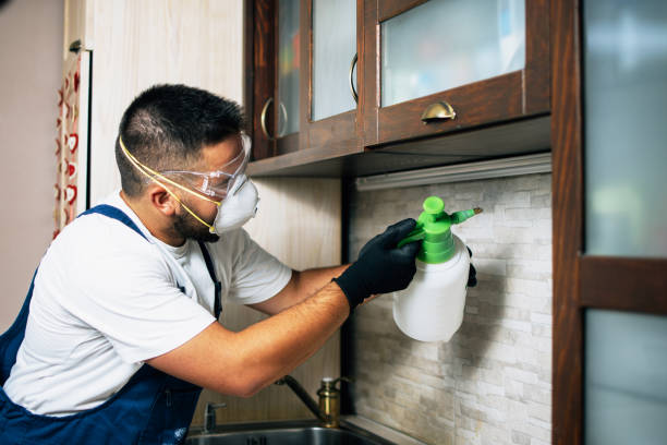 Best Commercial Pest Control Services  in Hawley, MN