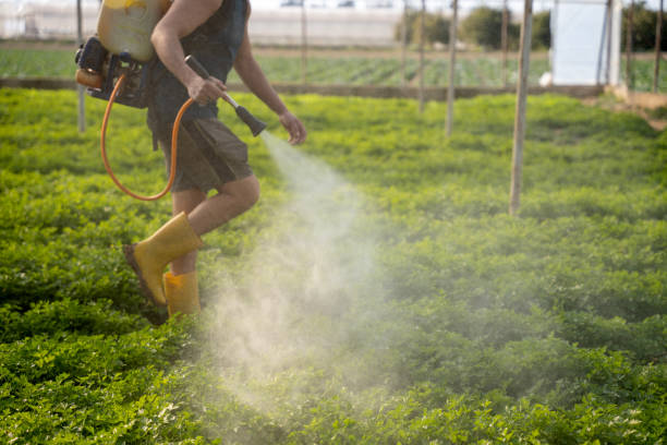 Best Pest Control Treatment  in Hawley, MN