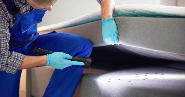 Best Pest Prevention Services  in Hawley, MN