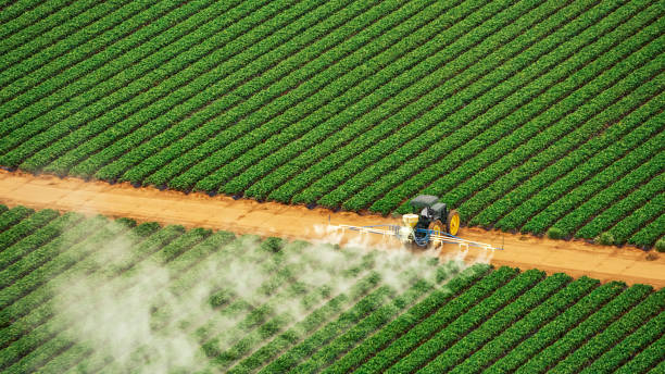 Best Pest Removal Services  in Hawley, MN