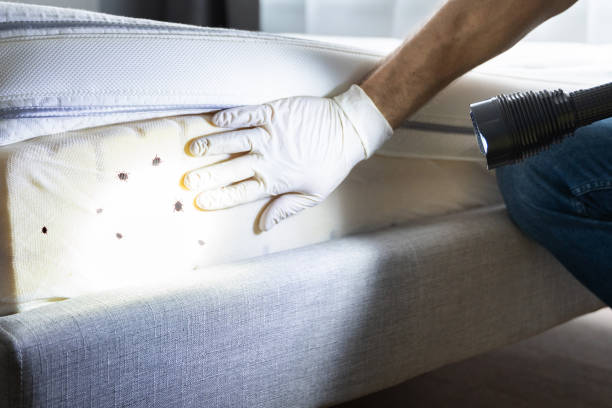 Best Emergency Pest Control  in Hawley, MN